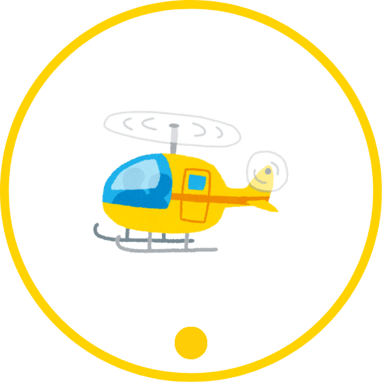 Ravit Leisure & Medevac Heli Services